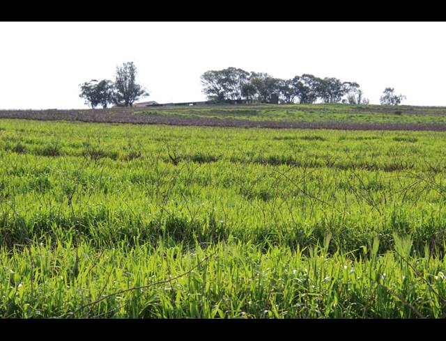 235HA FARM FOR SALE IN MALMESBURY RURAL